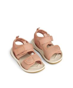 Ascendappare.shopf8fa028dda 1