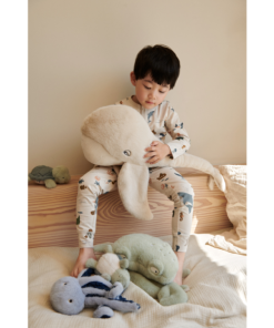 Ascendappare.shopfc6b762a7b 3